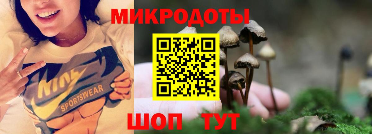 Липецк  Галлюциногенные грибы Magic Shrooms  Вход с VPN 